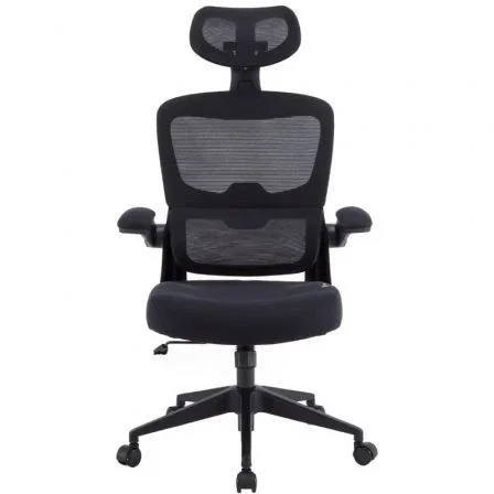 Woxter Silla Gaming Ergonómica Ergo Negro con Reposacabezas Ajustable y Reposabrazos Abatibles, Malla Transpirable - GM26-107